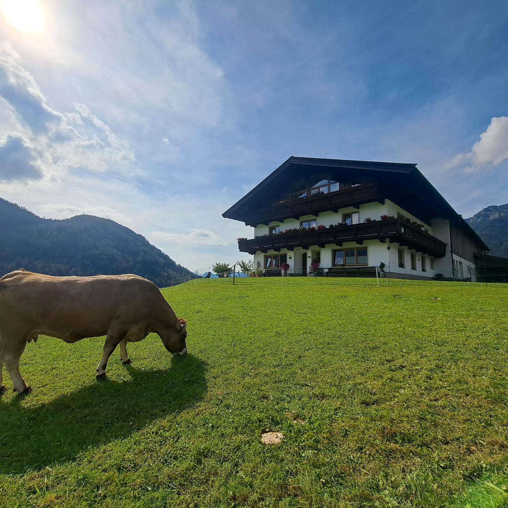 Bommerhof ไวดริง ภายนอก รูปภาพ