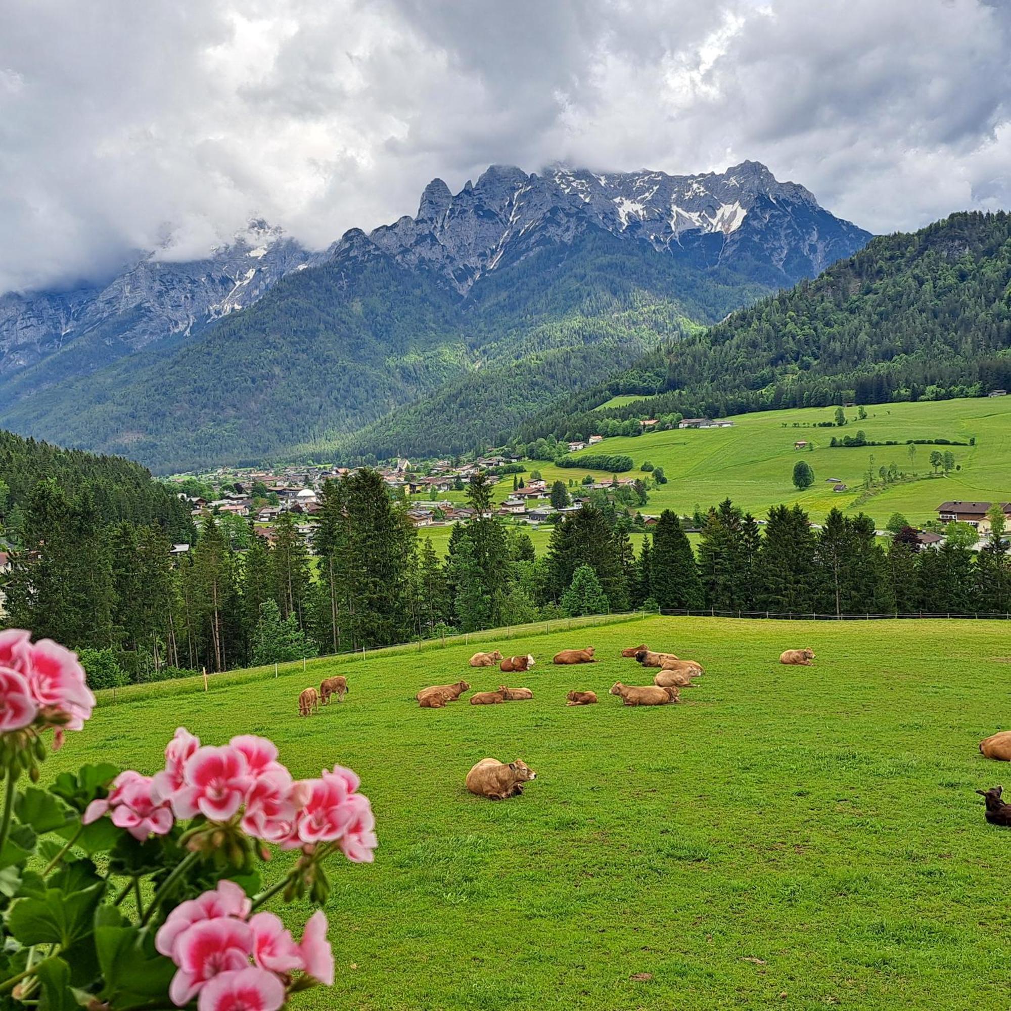 Bommerhof ไวดริง ภายนอก รูปภาพ