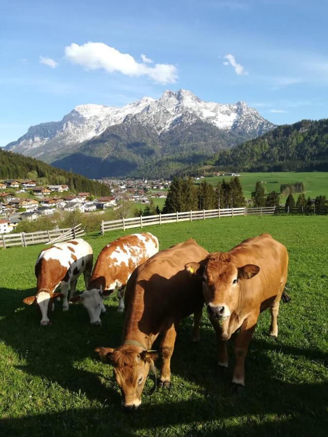 Bommerhof ไวดริง ภายนอก รูปภาพ